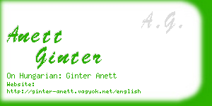 anett ginter business card